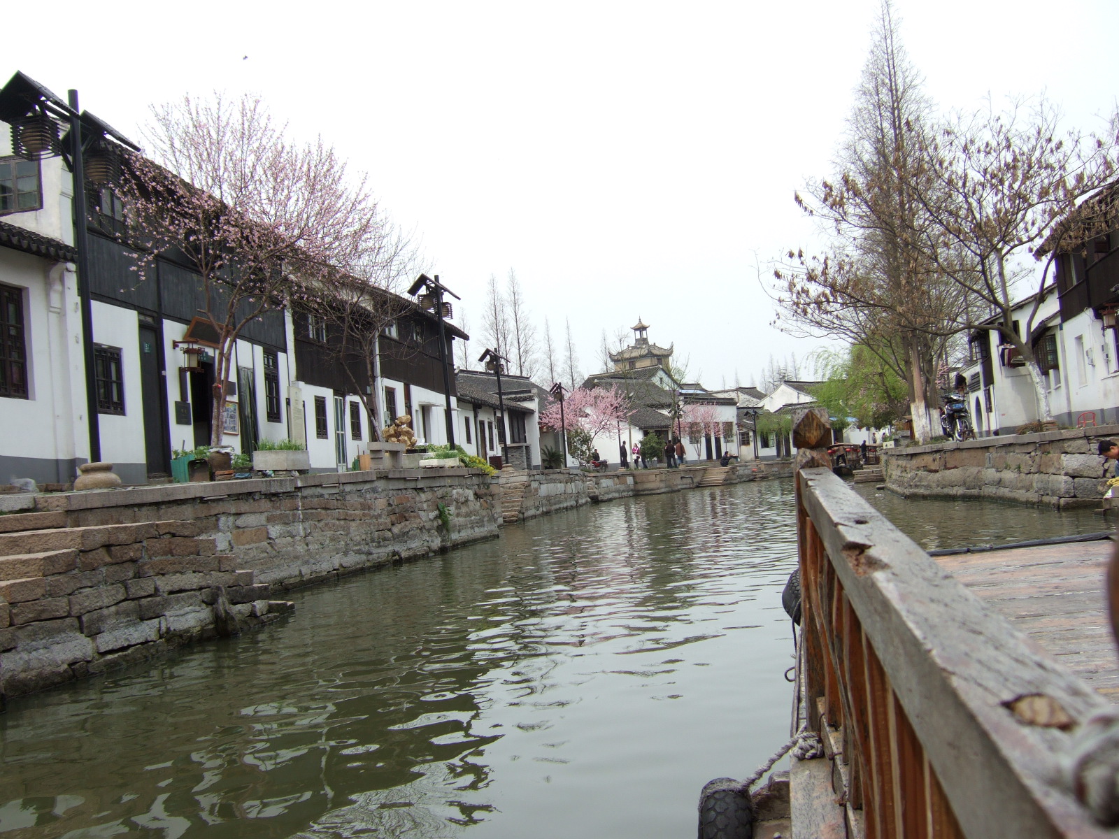 DSCF0893.JPG