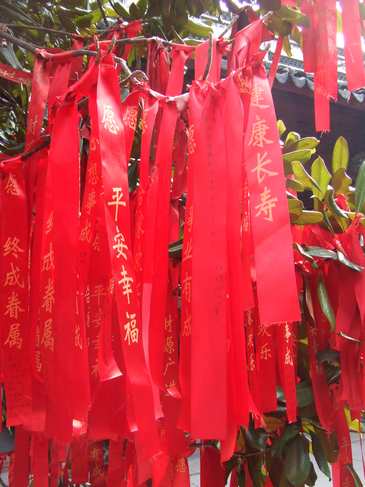 DSCF2060.JPG