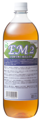 EM2