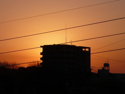 朝日