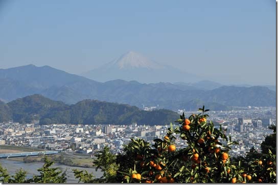 富士山とみかん