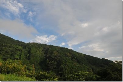 徳願寺山