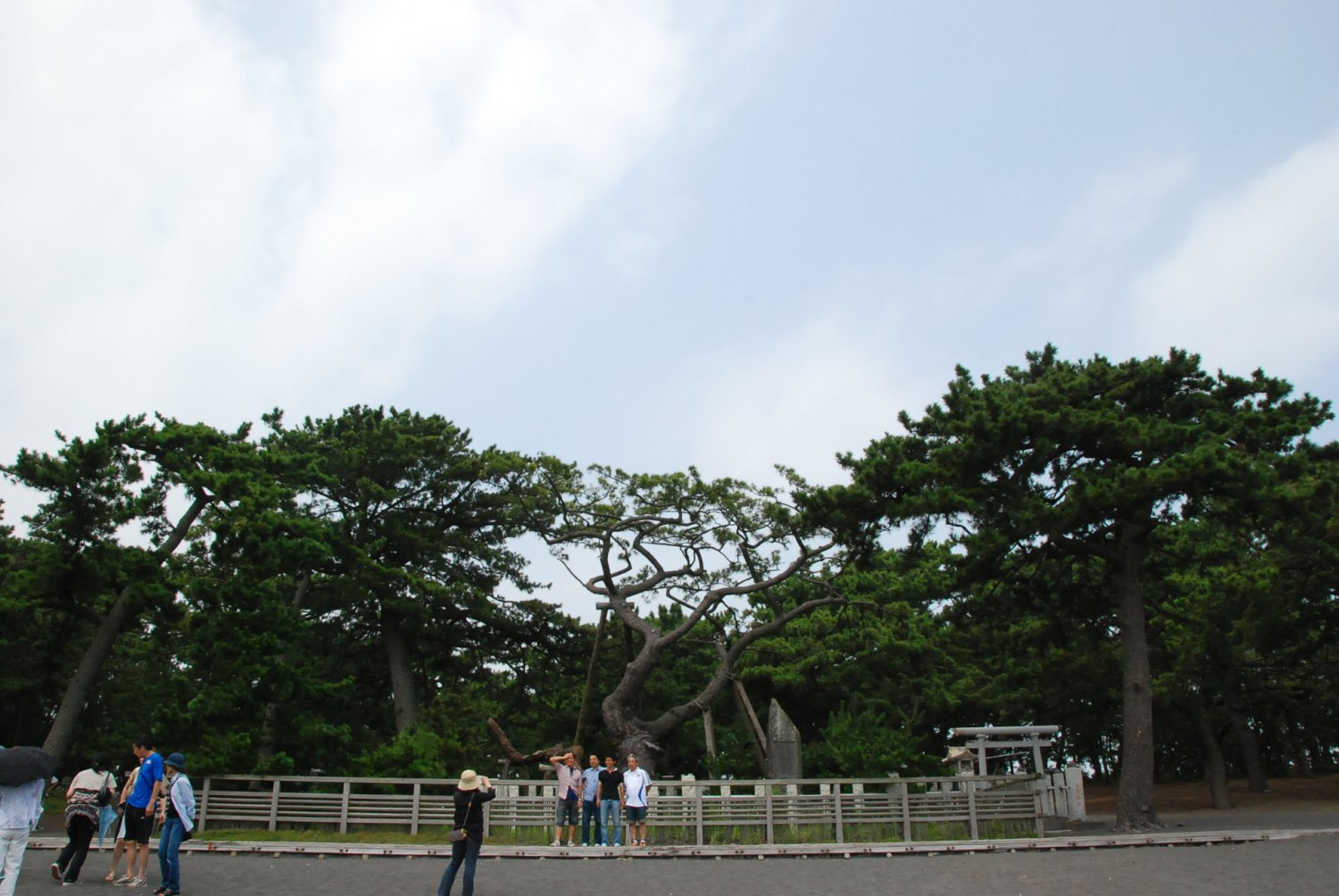 三保の松原