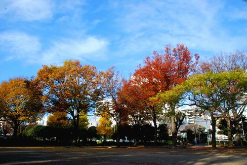 静岡市内の公園