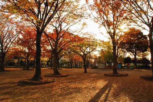 静岡市内の公園