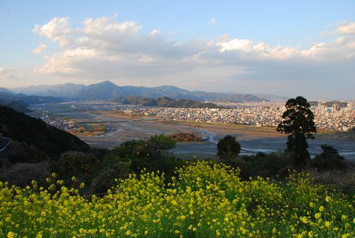 静岡市内