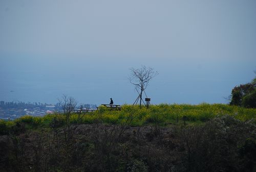 静岡市内の秘密の場所