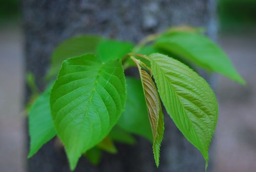 近くの公園にて