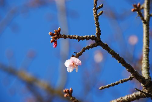 薩多峠