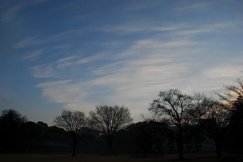 青い空と白い雲