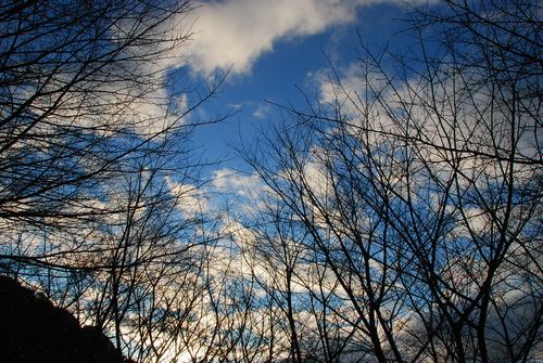 4日の青空