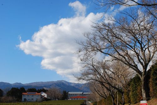 綺麗な青空