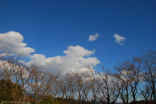 綺麗な空