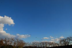 綺麗な空