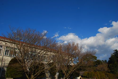 空が青いなぁ