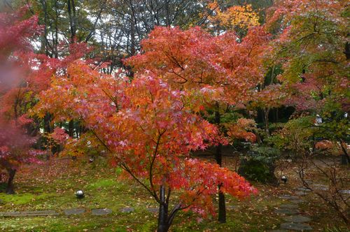 月岡温泉　割烹旅館「いま井」