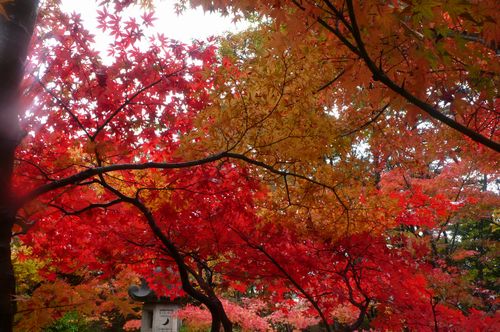 月岡温泉　割烹旅館「いま井」