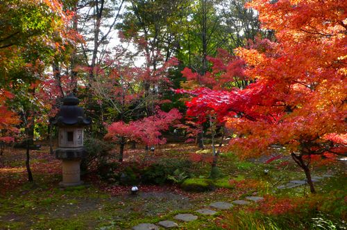 月岡温泉　割烹旅館いま井の庭