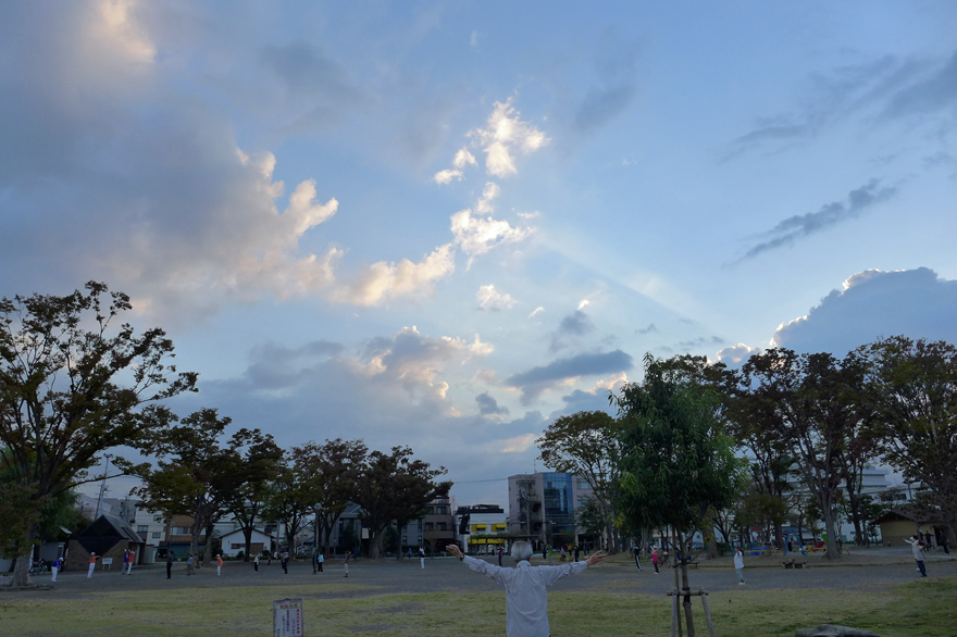 自宅近くの公園