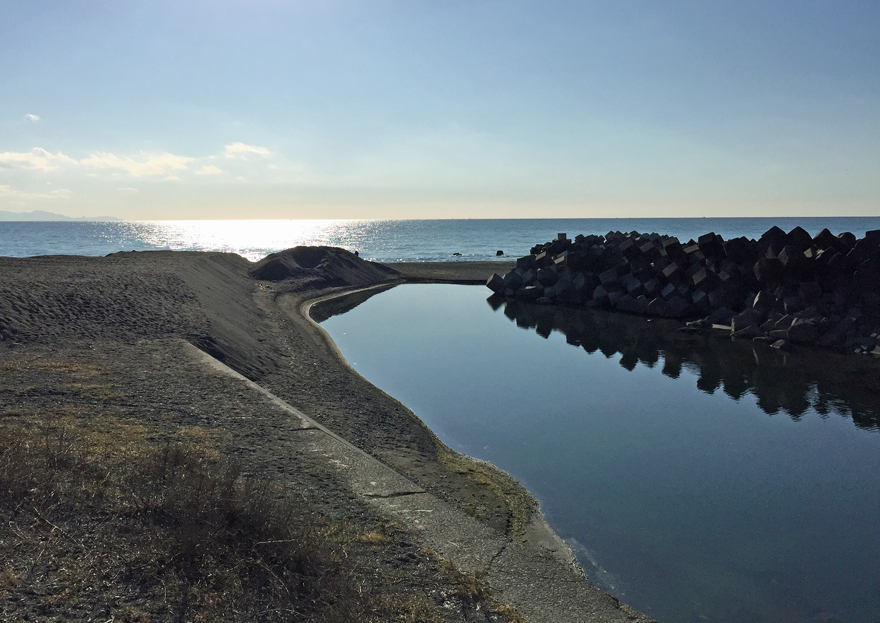 駿河湾