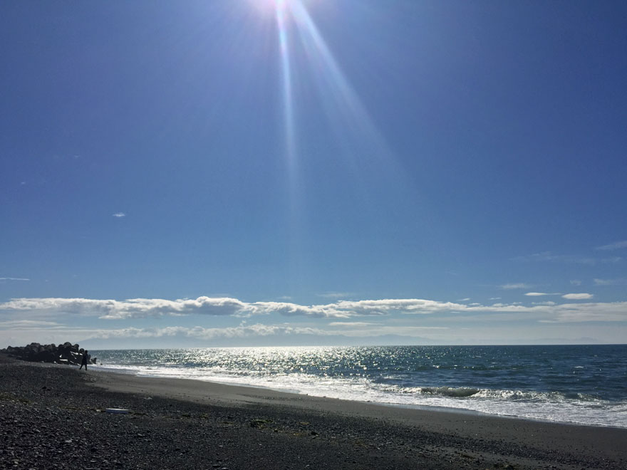 静岡市内の海岸