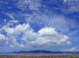 「7月度で戦後最長の景気拡大だそうです？」