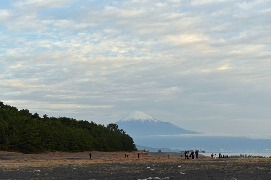 三保の松原と富士山