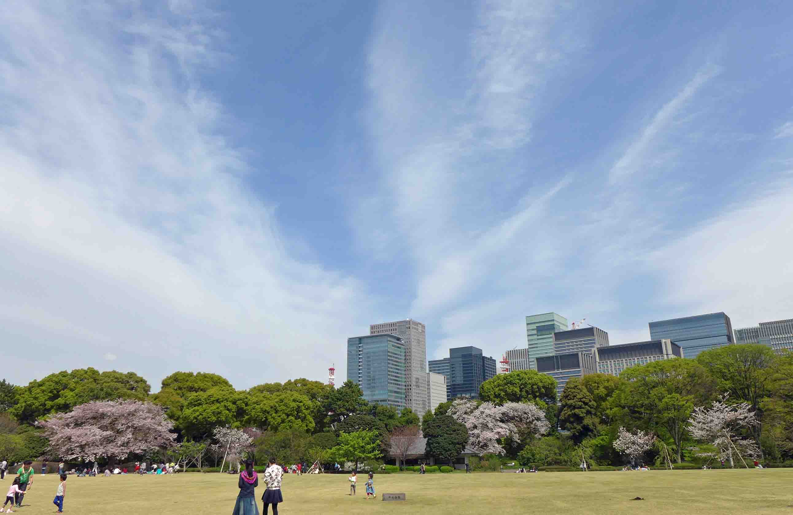 気持ちの良い空模様