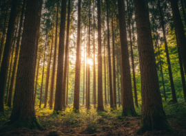 運は「起きること」ではなく「気づく力」で決まるのでは！