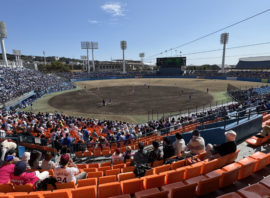 「久しぶりの野球観戦でした！」