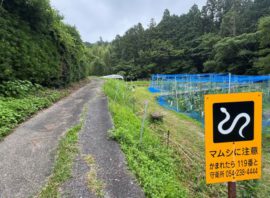 「いつもと違う山ルートへ！静岡大学裏で見つけたマムシ注意の看板！」