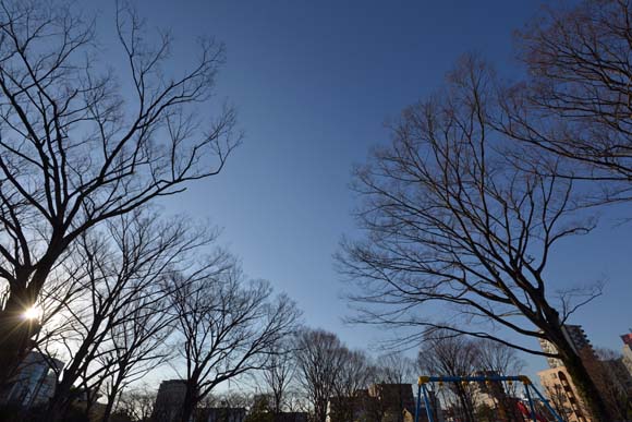 ワンちゃんをお散歩させている近くの公園