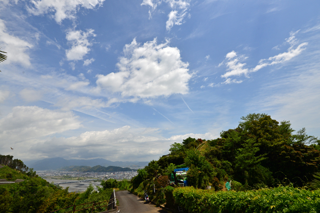 徳願寺山