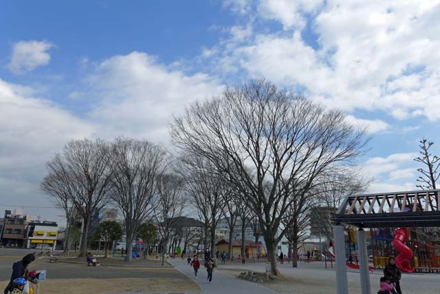 気持ちのよい空模様