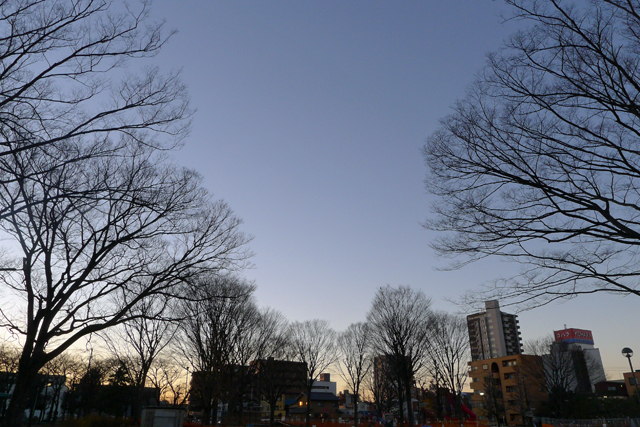 自宅近くの公園