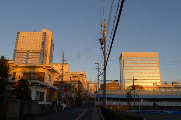 ワンちゃんの散歩中の風景