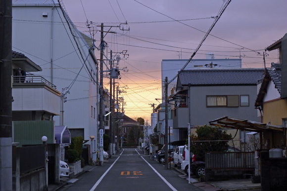 わんちゃんのお散歩時の風景