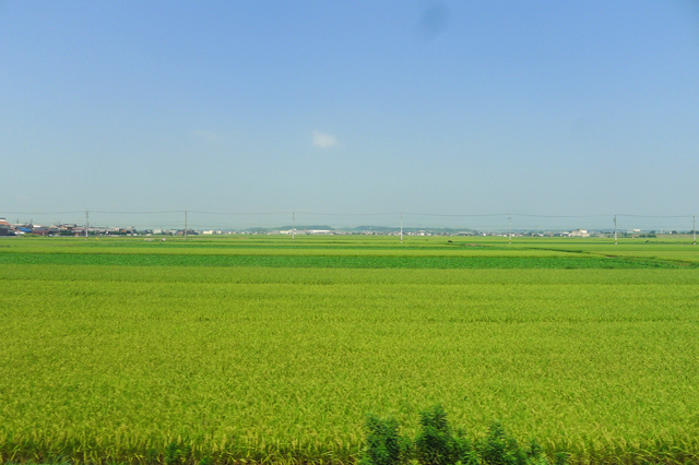 鈴鹿市内の風景