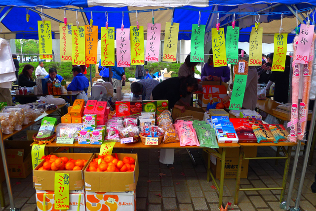 大学文化祭・父母後援会・静岡地区