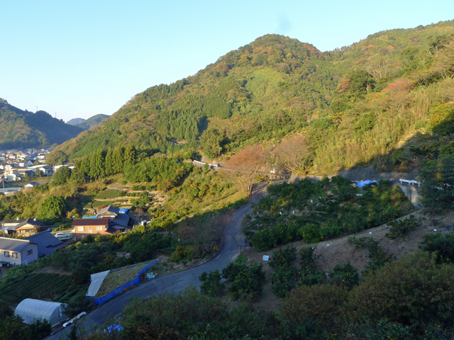 工場近くの山