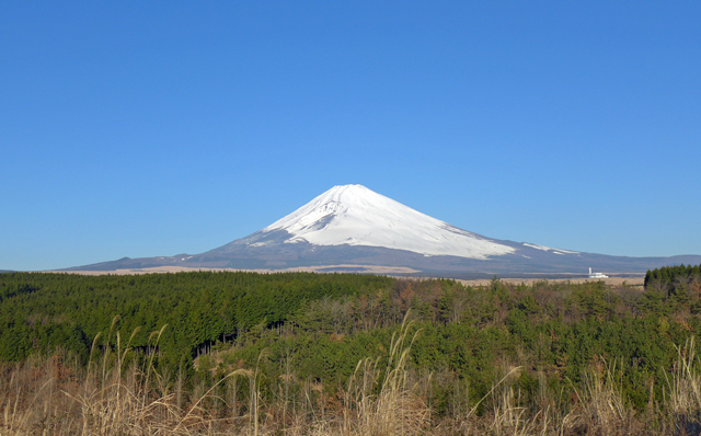 富士山