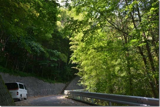 徳願寺山農道