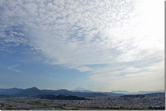 静岡市内