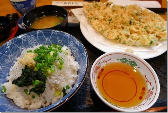 生シラス丼と桜えびの掻き揚げ