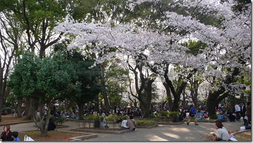 上野恩賜公園