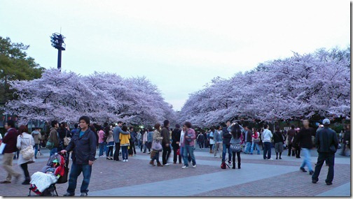 上野恩賜公園