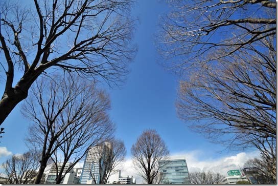 自宅近くにある公園