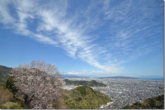 静岡市内