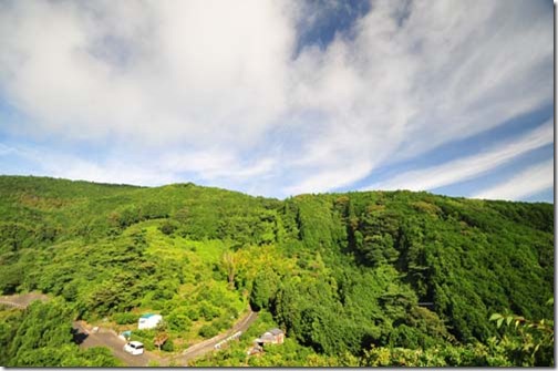 徳願山寺山