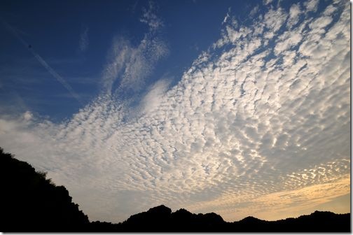 朝の散歩にて